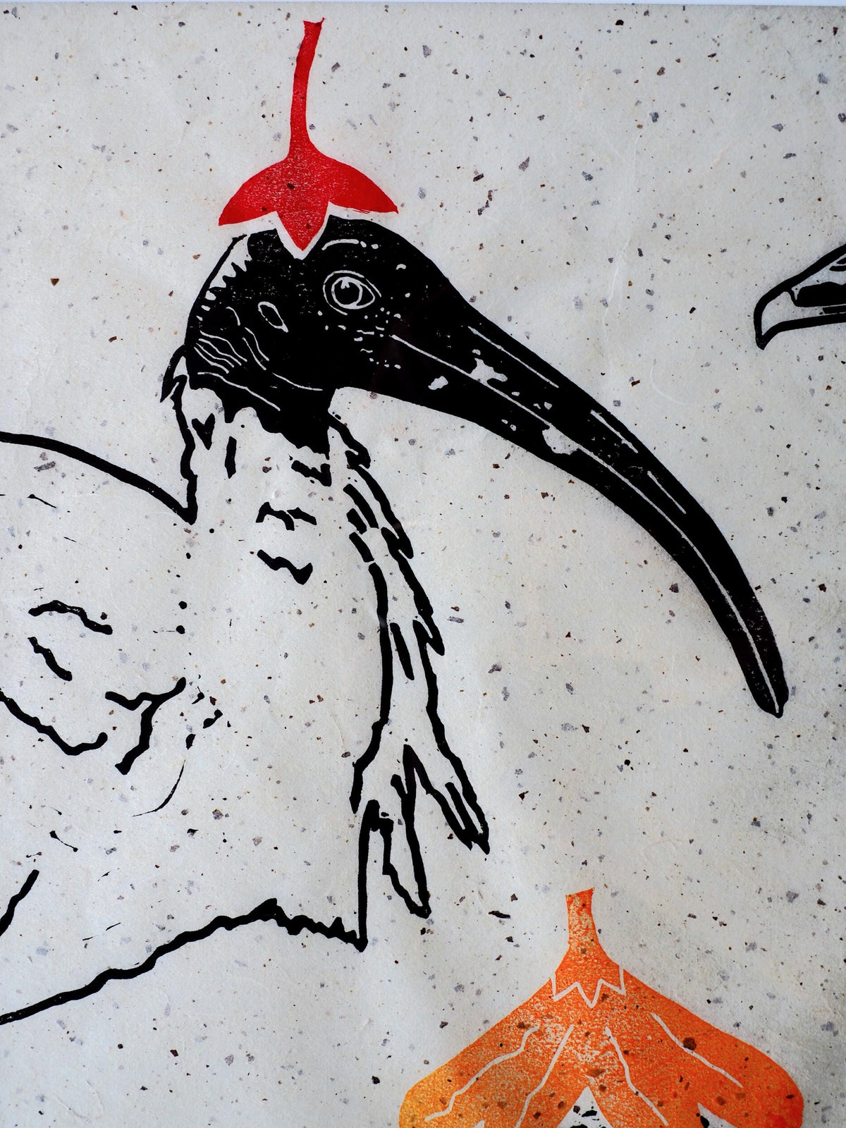 Framed Linocut Print – Australian Birds, Mulberry Paper, Ready to Hang