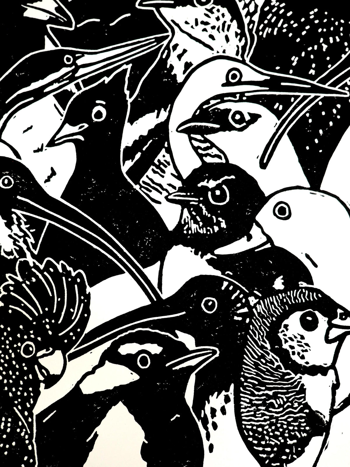 Birds on a Board Linocut Print | NT Australia Wildlife Art (A4)
