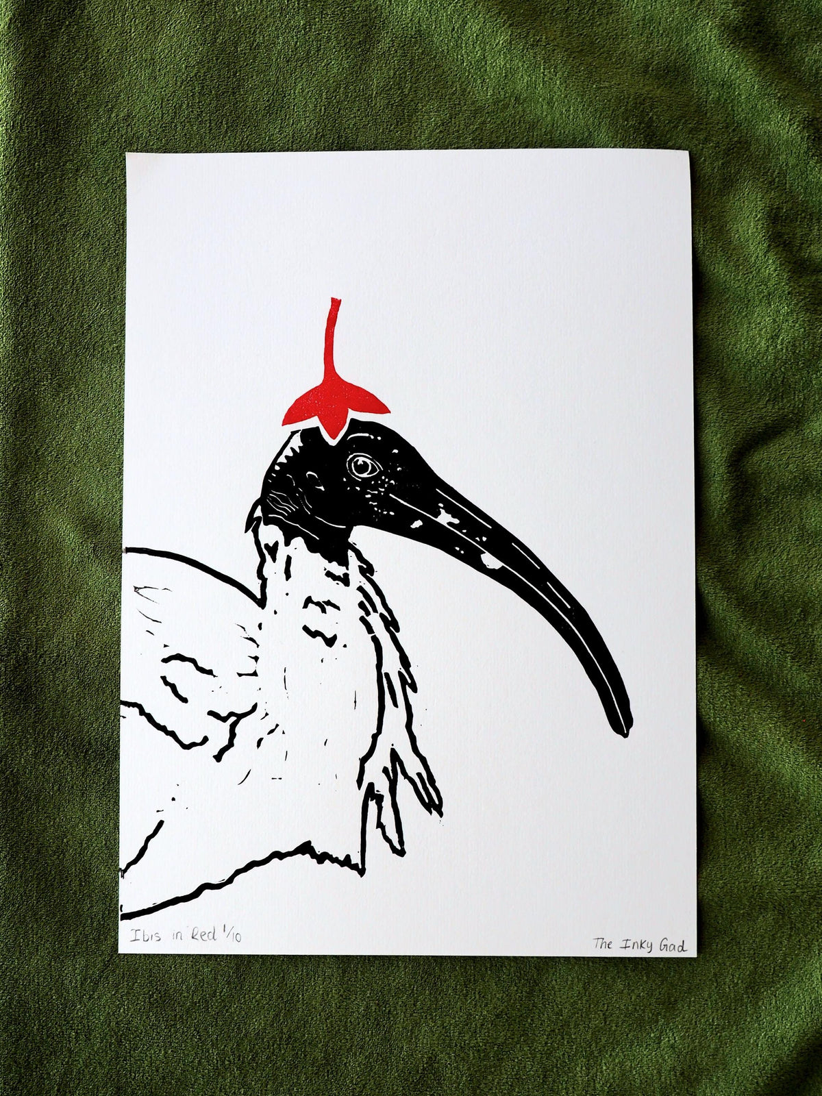 Ibis in Red Linocut Print – Limited Edition Hand Pulled Bird Art (A4)
