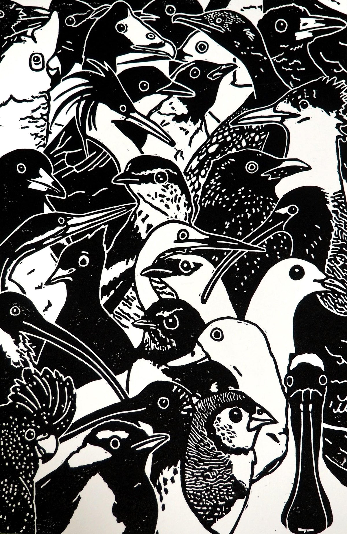 Birds on a Board Linocut Print | NT Australia Wildlife Art (A4)