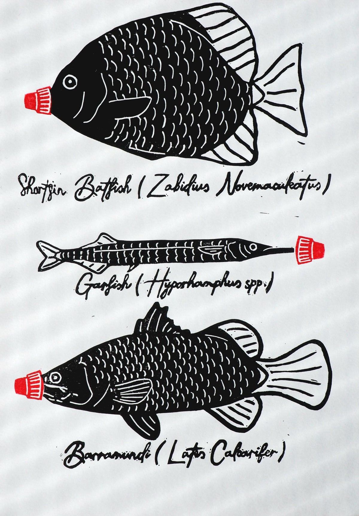 Linoprint Fish Art Print – Limited Edition of 20 Barramundi, Garfish, Batfish Art (A4)