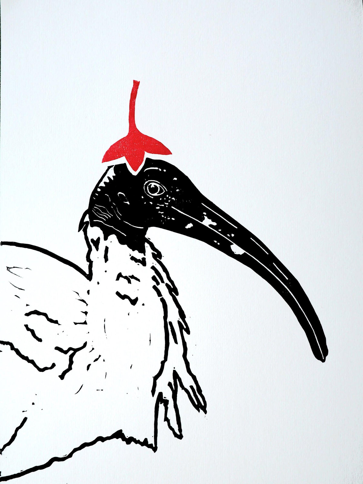 Ibis in Red Linocut Print – Limited Edition Hand Pulled Bird Art (A4)