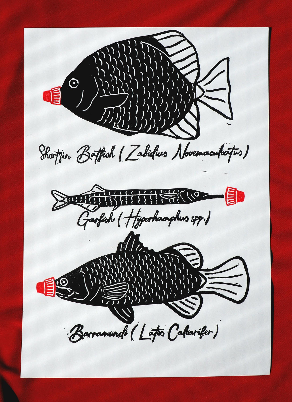 Linoprint Fish Art Print – Limited Edition of 20 Barramundi, Garfish, Batfish Art (A4)