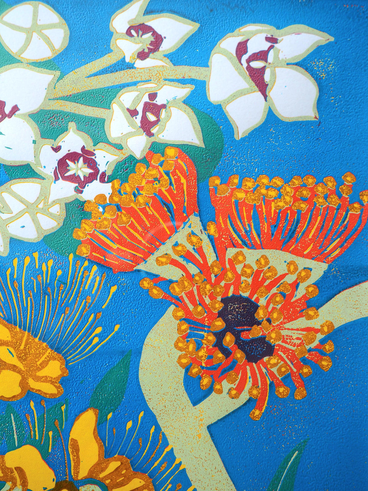Professionally Framed Linoprint – Australian Native Flowers Reduction Art (Limited Edition)