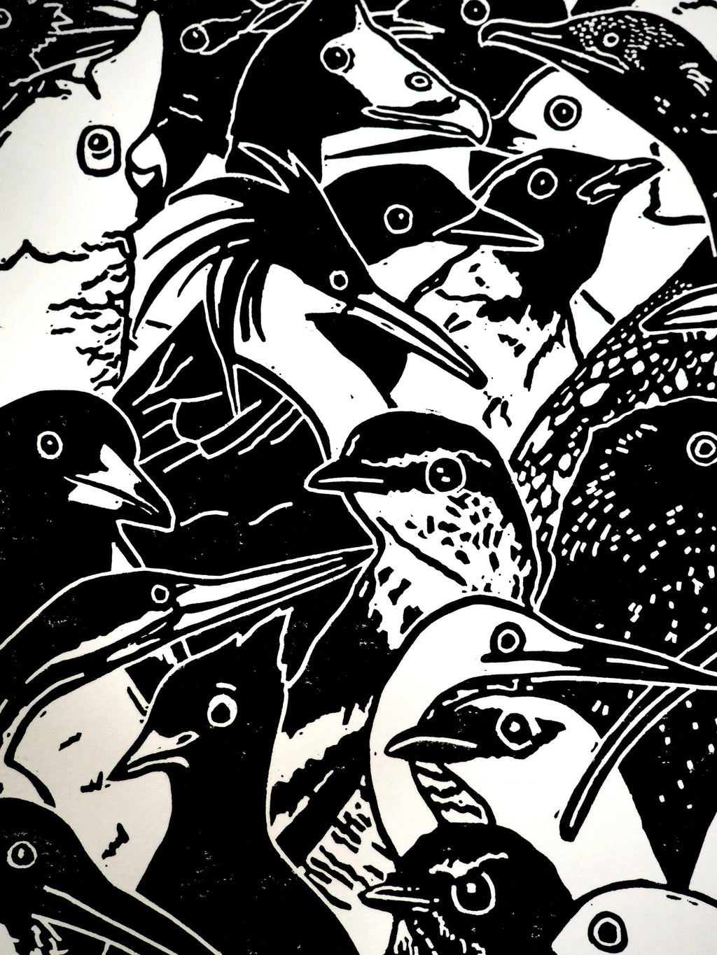Birds on a Board Linocut Print | NT Australia Wildlife Art (A4)
