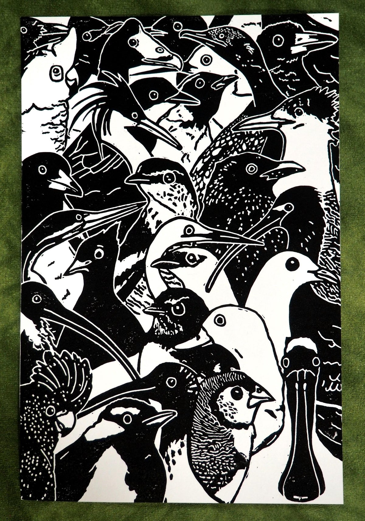 Birds on a Board Linocut Print | NT Australia Wildlife Art (A4)
