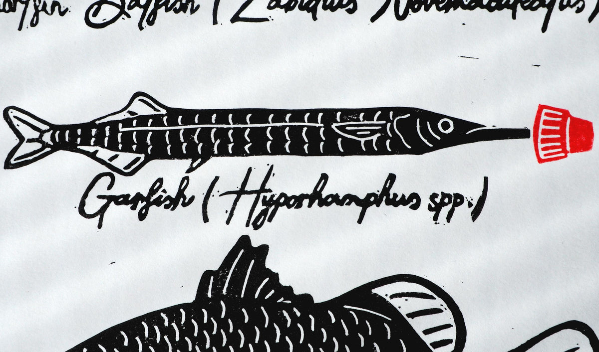 Linoprint Fish Art Print – Limited Edition of 20 Barramundi, Garfish, Batfish Art (A4)