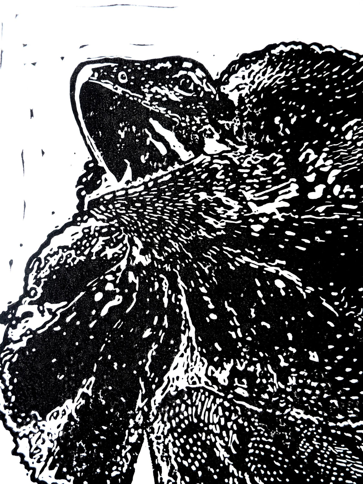 Giant Frill-Neck Lizard in Darwin – Hand-Pulled Linoprint (A4) | Australian Wildlife Art | Optional Red Watercolour