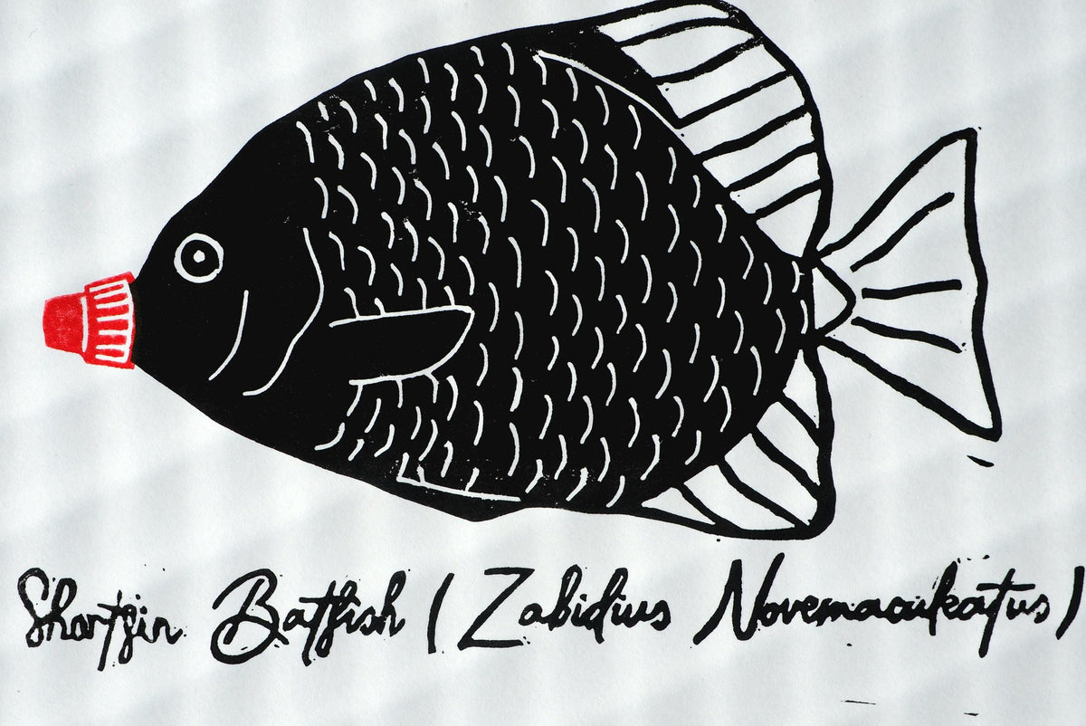 Linoprint Fish Art Print – Limited Edition of 20 Barramundi, Garfish, Batfish Art (A4)